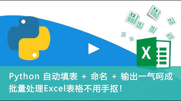 Python 自动填表 + 命名 + 输出一气呵成，批量处理Excel表格不用手抠！
