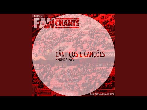 Allez Força SLB