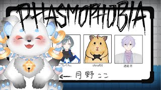 【 #phasmophobia 】くそビビり狛犬参戦！！！ ※叫び声はノイキャンされます