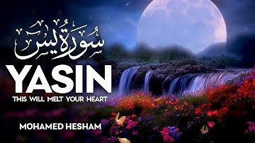Surah Yaseen (سورة يس) - القارئ محمد هشام | Mohamed Hesham (4K)