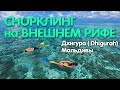 Мальдивы, о. Дхигура ( Maldives? Dhigurah). Снорклинг на внешнем рифе ( восточная сторона).