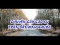 Bnh phc t v ngi  chuyn cy cao su trn t bnh phc