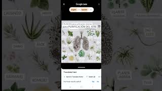 Traducir el texto de una imagen utilizando la aplicación de Google Translate #teachertip screenshot 5