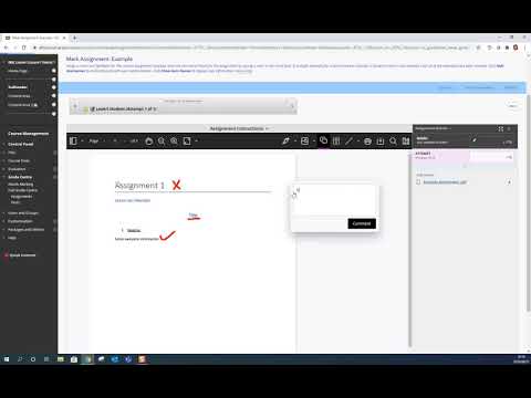 Instructors: Assessing Assignments with Annotations