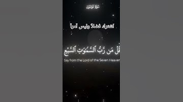 قران كريم بصوت الشيخ ياسر الدوسري #اكسبلور #لايك #تابعوني #دويتو #يارب #راحة_نفسية