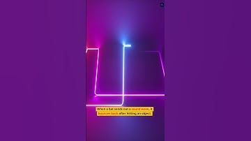 The Fascinating World of Bat Echolocation | Learn And Explore Facts #shorts #bats #echolocation