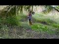 Extreme Jungle Cleaning Skills 🌴 Powerful Brush Cutter Attack!