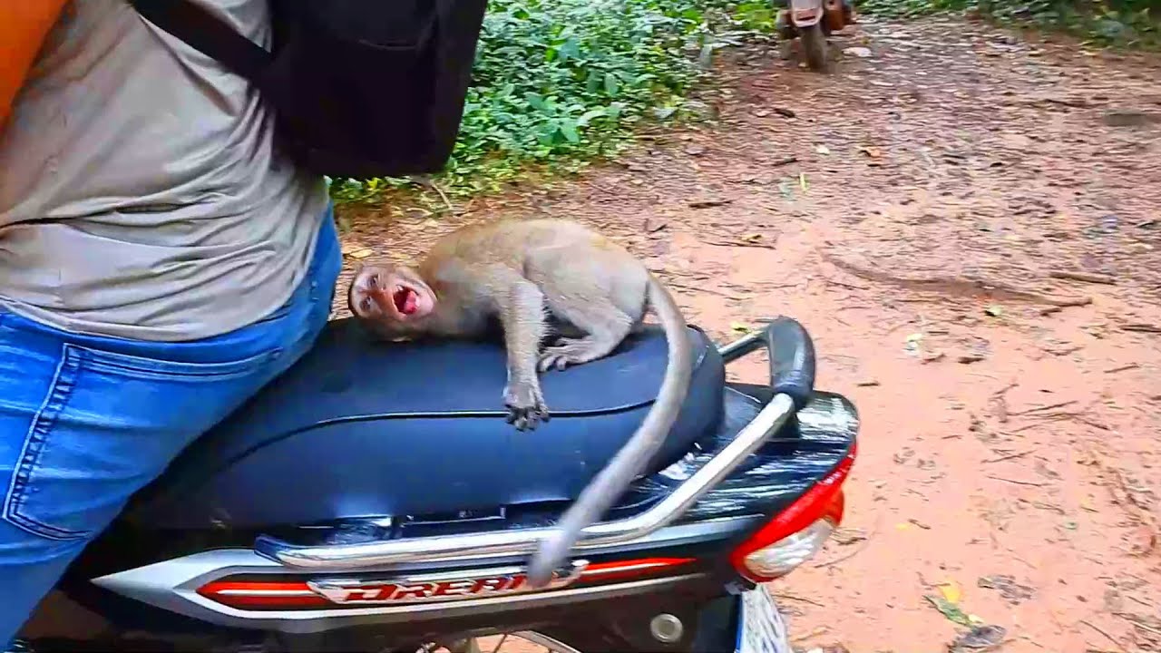 My daughter Dawn not allow me go home how can I get permission please enjoy Dawn with me thanks