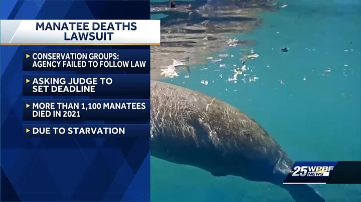 Manatee deaths lawsuit
