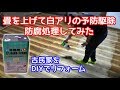 【古民家再生】畳を上げて白アリの予防駆除・防腐処理をしてみた【水性アリシス】