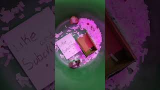 #hamsterlive #cutevidei #cute live