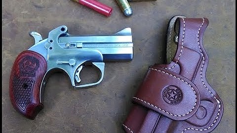 Cover Image for Bond Arms Snake Slayer