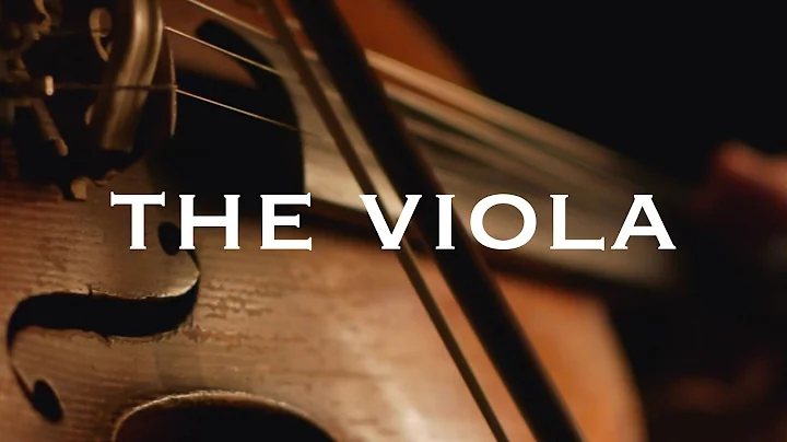 Instrument Series: The Viola