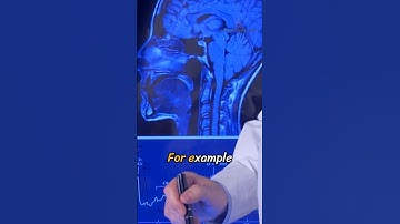 AI Loves Data & Numbers: Here