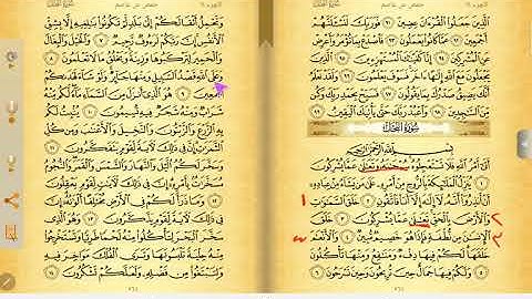 كيف احفظ سورة النحل