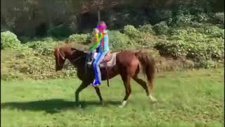 Post estimation while riding a horse  | Open Pose