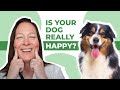 Top 10 Signs You Have a Happy Dog!! 😀🐶