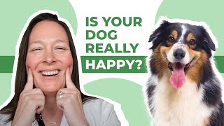 Top 10 Signs You Have a Happy Dog!!