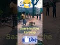 Saare kutthon ka baap #dog #shorts #laugh #viralvideo #funny #india #domesticanimals #villagelife