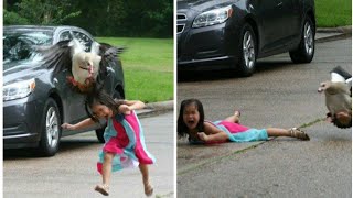 When Animals attack humans