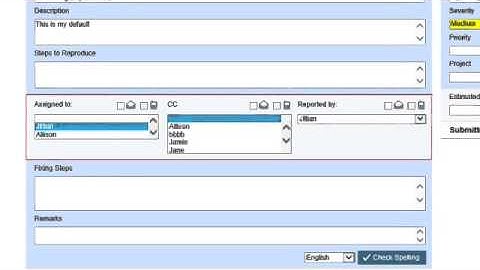 File Attachment and Form Customization