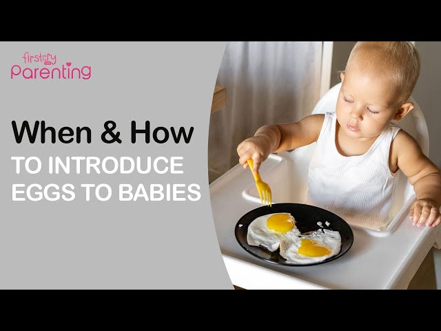 When babies can eat eggs and 4 other baby foods to introduce