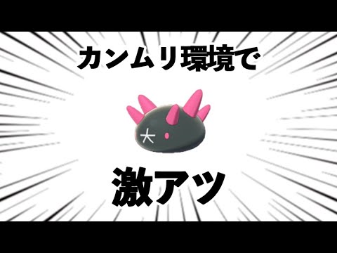 ランドもエスバもミミッキュも完封 天然ナマコブシ を育てたくなる動画 ポケモン剣盾 冠の雪原 Youtube