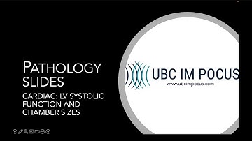 POCUS Pathology: Cardiac - LV Systolic Function and Chamber Size