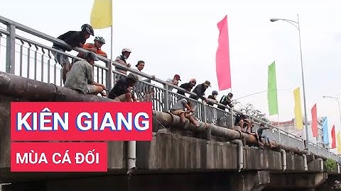 Kiên Giang: Mùa câu cá đối lại về
