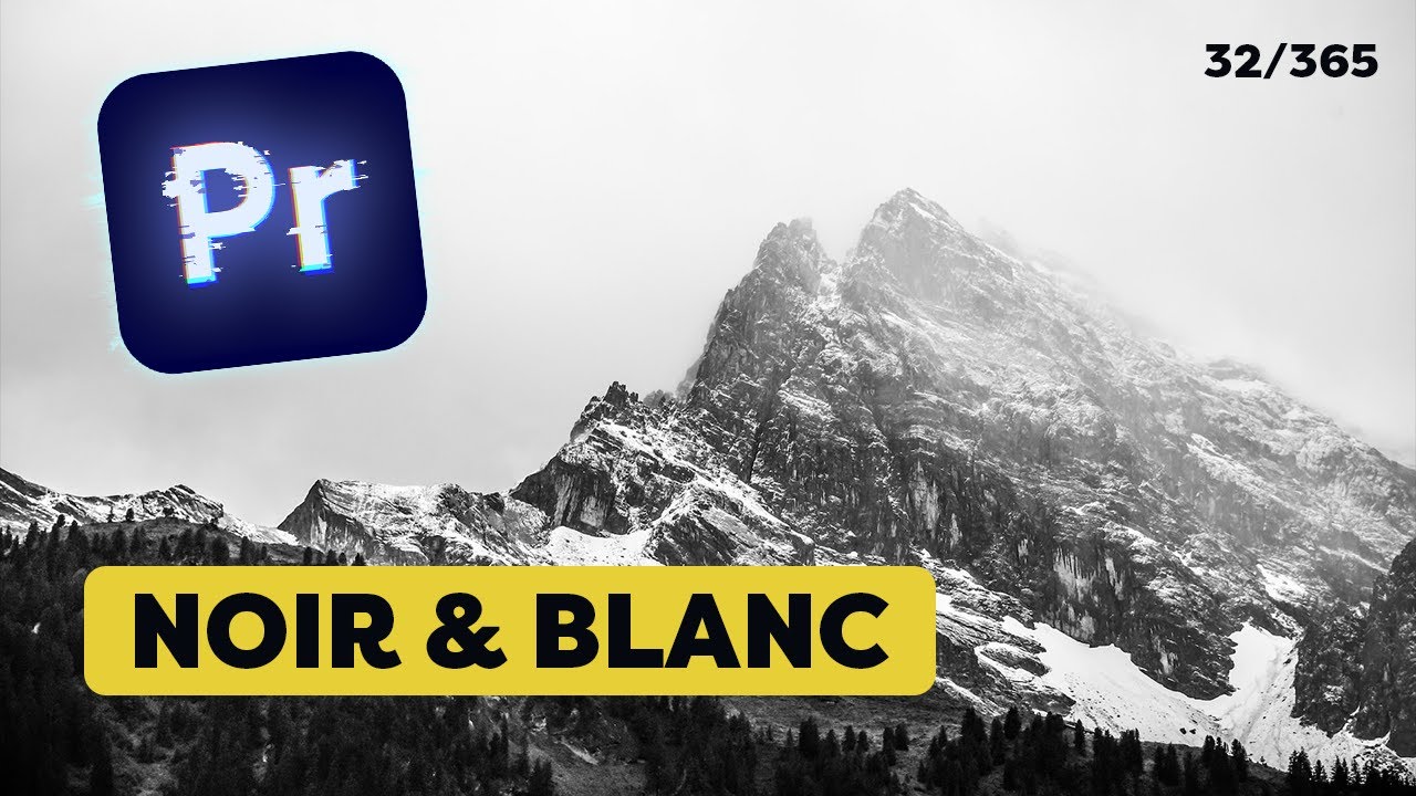 METTRE UNE VIDEO EN NOIR ET BLANC EN 1 MINUTE | Tuto Premiere Pro