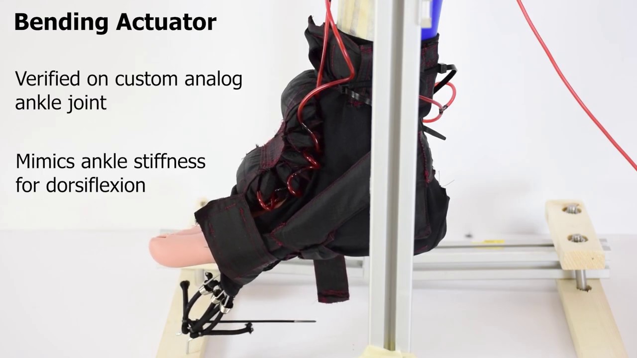 A Soft Dynamic AnkleFoot Orthosis Exosuit for Gait Assistance with