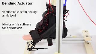 A Soft Dynamic Ankle-Foot Orthosis Exosuit for Gait Assistance with Foot Drop screenshot 5