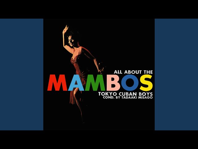 Tadaaki Misago & His Tokyo Cuban Boys - マンボ No.5