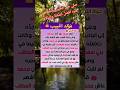 قصة مولد الرسول صلى الله عليه وسلم ارجو الاشتراك في القناه