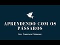 Aprendendo com os pássaros