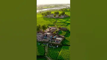 Shortvideo Pakistan 