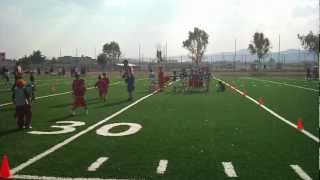 Entrenamiento de Oseznos en campo nuevo