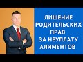 Лишение родительских прав за неуплату алиментов - Консультация адвоката