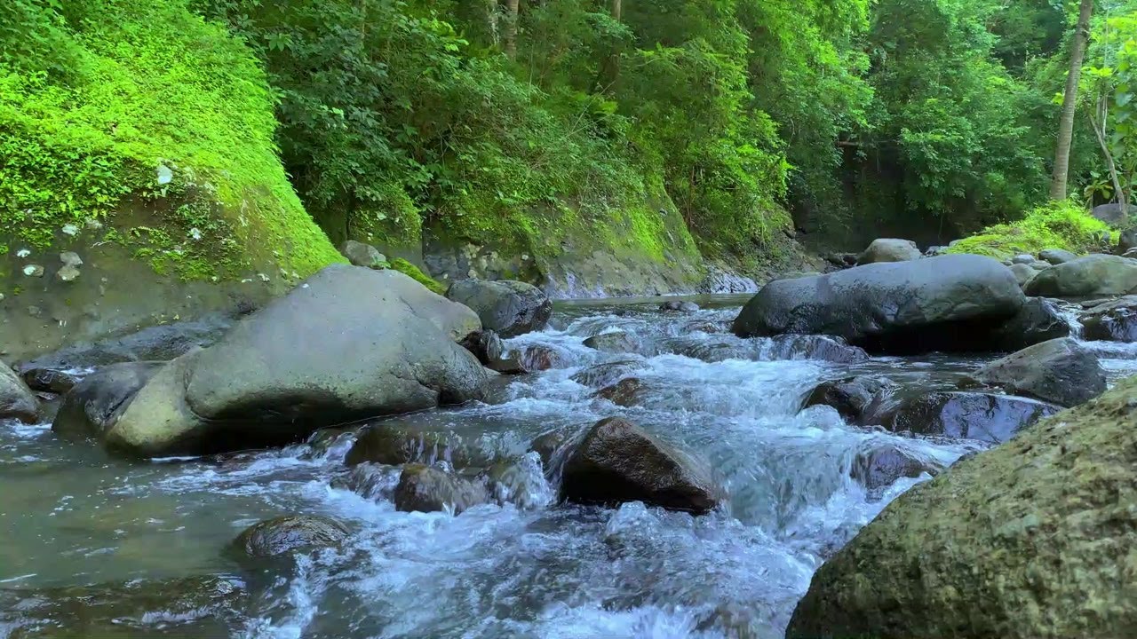 Relaxing River Flow for Stress Relief | Peaceful Water Sounds for Sleep