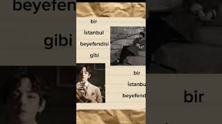 Taehyung İstanbul Beyefendisi