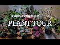【100鉢超】観葉植物ガチ勢のプラントツアー | 失敗やおすすめ植物、園芸アイテムまで全て正直に紹介