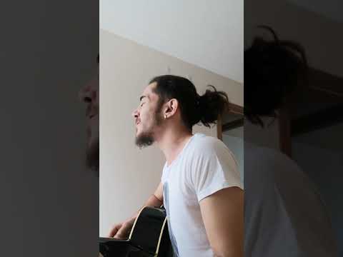 Mutlu Erendemir -