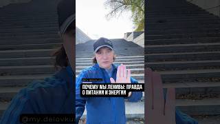 351-й день. Почему мы ленивы: правда о питании и энергии