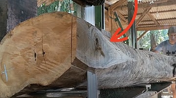 The beautiful process of sawing teak wood to make joglo house frame beams 