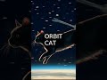 Orbit Cat #Shorts 13