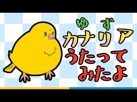 ゆず / カナリア　歌ってみたよ