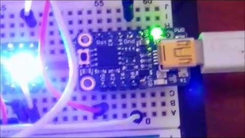 Adafruit Neopixel Trinket Example