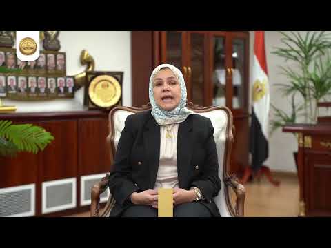 إطلاق نظام ضريبي متكامل لدعم المشاريع الصغيرة والمهنيين ورواد الأعمال