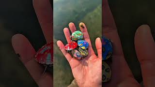 🐢 Tina Took Baby Turtles to Her Swimming Pool! 😱🏊‍♀️#Tina #BabyTurtles #CuteAnimals #FunnyShorts