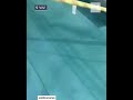 طائرة تمر قرب يخت